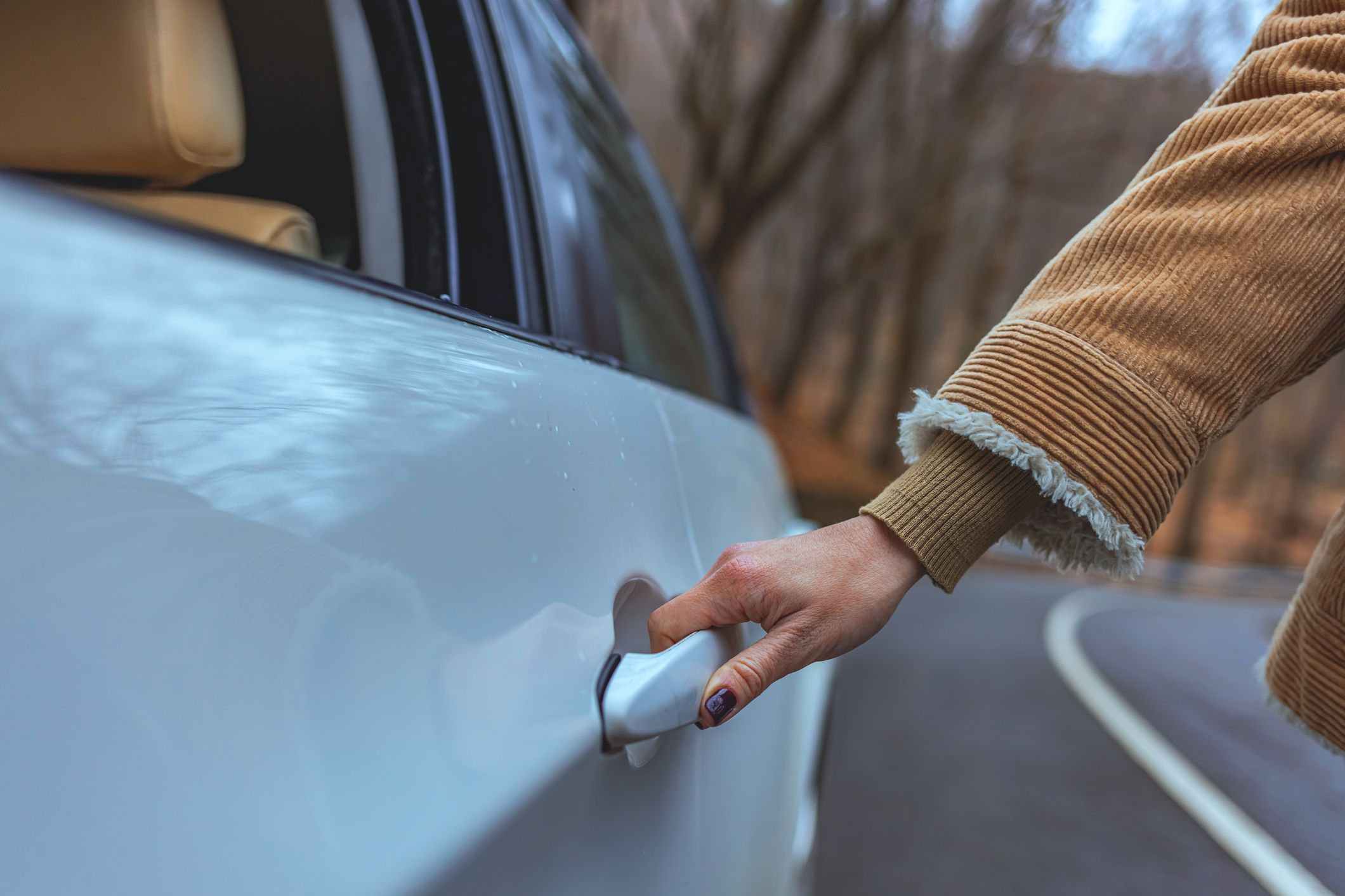 Car Steering Wheel Lock Plates A Comprehensive Guide to Protection and Security