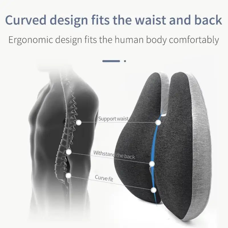 Memory Foam Seat Cushion with Lumbar Support – Chair & Car Seat Back Cushion - Delicate Leather