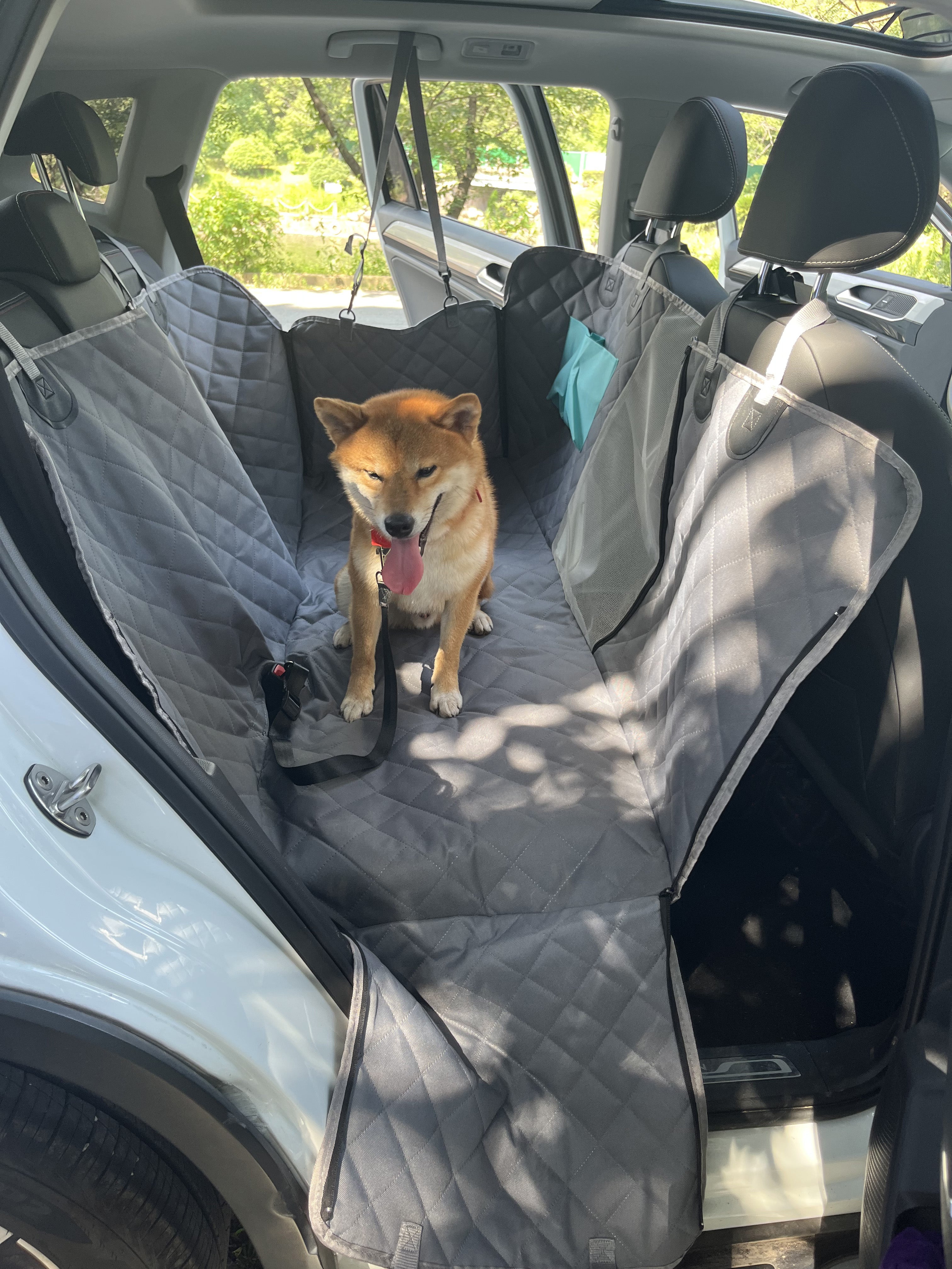 Waterproof Pet Car Mat Protector Hammock with Mesh Window and Pockets