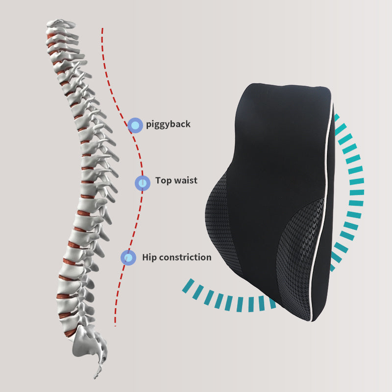 Eco-Friendly Memory Foam Lumbar Support Cushion for Car and Office Chair – Relieve Lower Back Pain Naturally - Delicate Leather