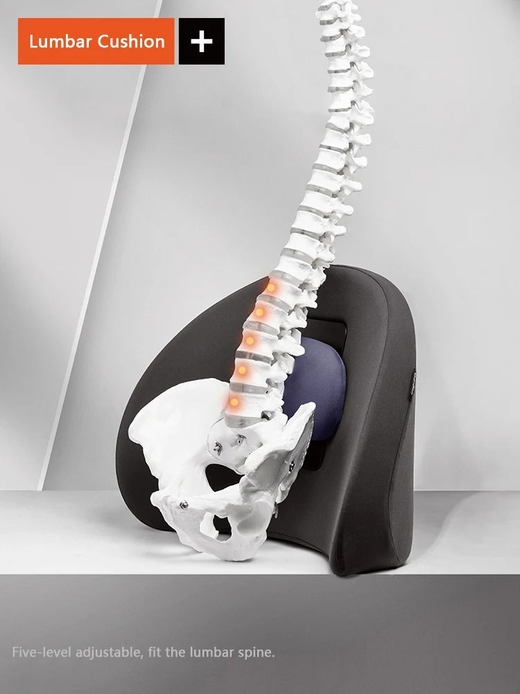 Memory Foam Car Seat Back Support – Lumbar Cushion for Low Back Pain Relief - Delicate Leather