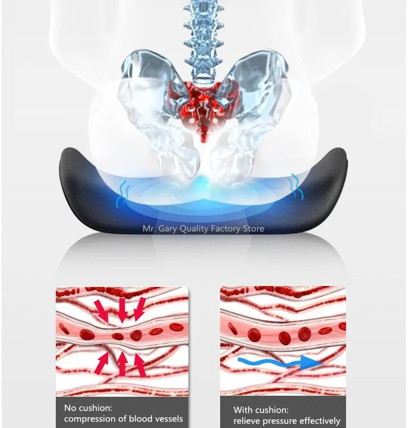 Memory Foam Orthopedic Seat & Back Cushion Set – Coccyx Support for Office Chair, Car Seat, and Hip Comfort - Delicate Leather