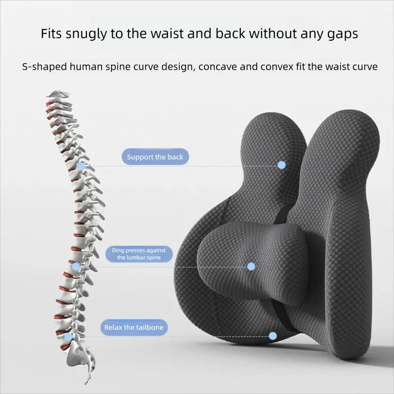 Orthopedic Memory Foam Seat & Back Cushion Set – Coccyx and Waist Support for Office Chair & Car - Delicate Leather